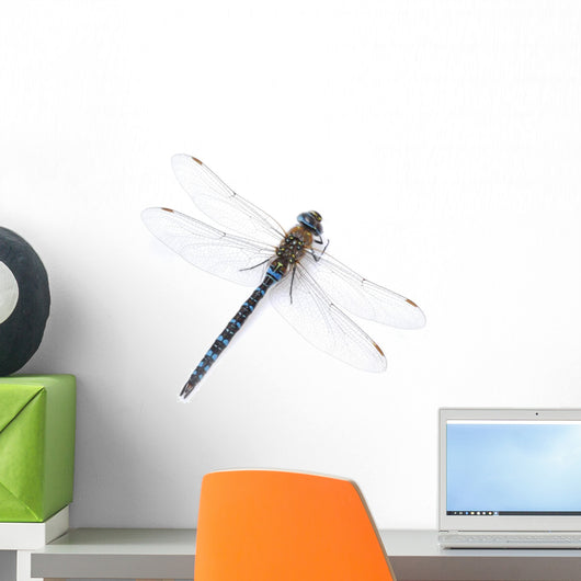 dragonfly Wall Decal