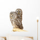Ural Owl Wall Mural