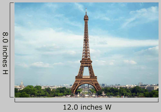 Eiffel Tower in Paris France Wall Mural