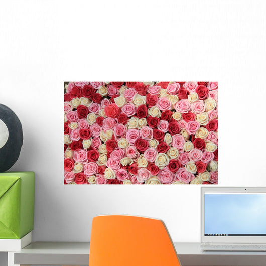 White and Pink Roses