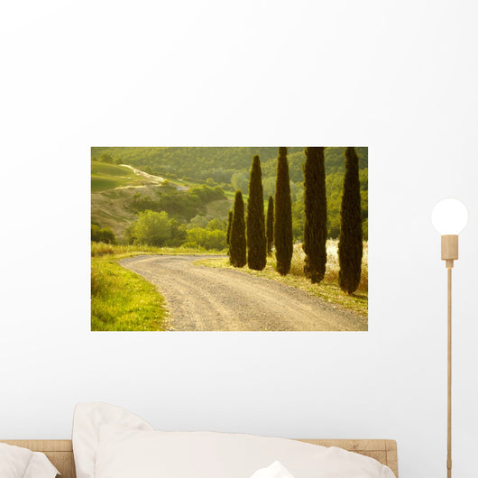 Landscape Tuscany Italy