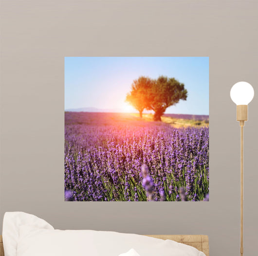 Lavender Field Provence France