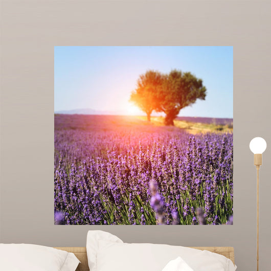 Lavender Field Provence France