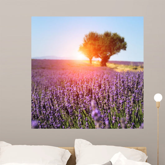 Lavender Field Provence France