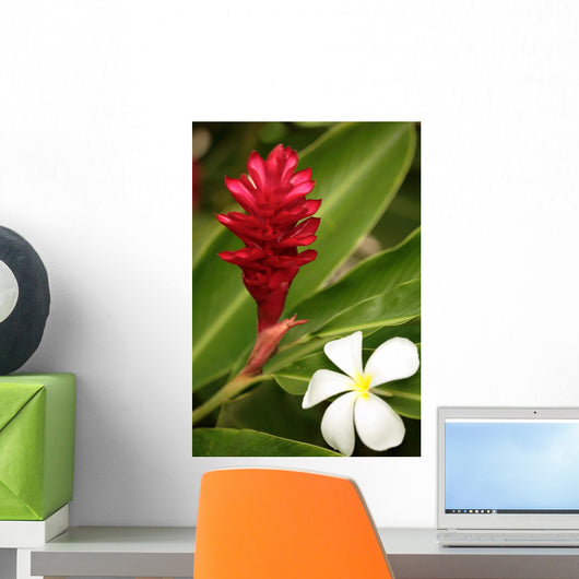 Ginger Flower