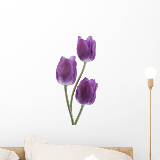 Tulip Wall Decal