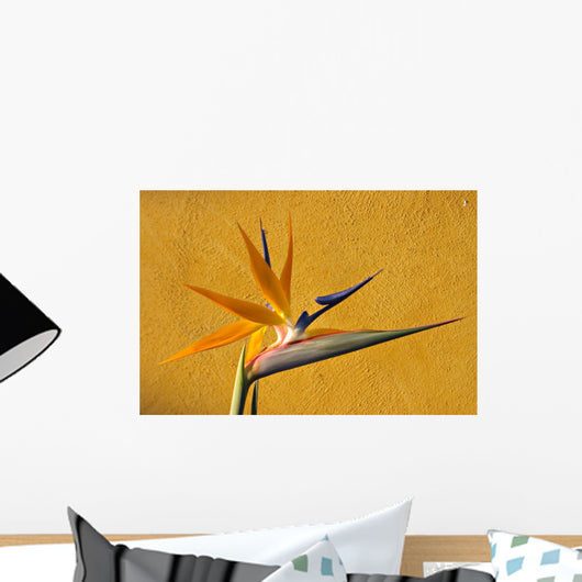 Bird of Paradise Wall Mural