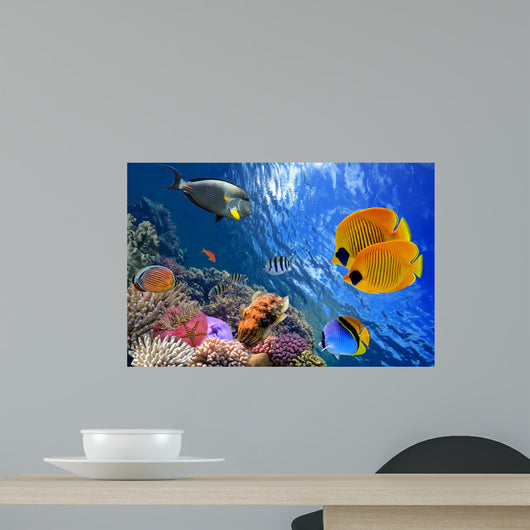 Underwater World
