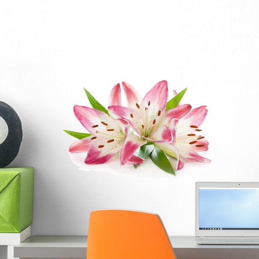 Three Pink Lily