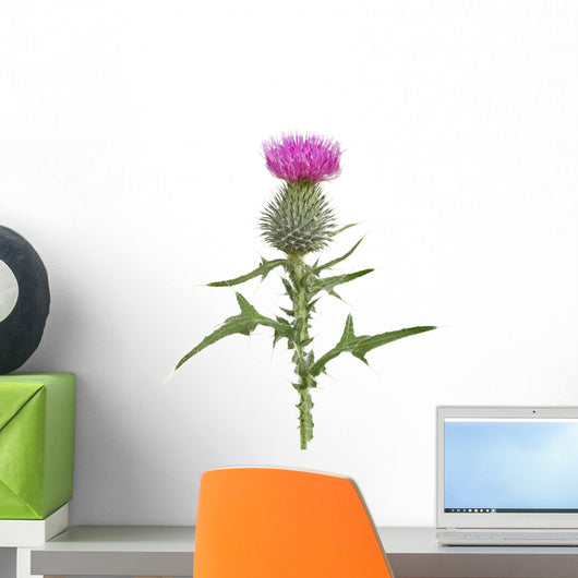 Thisle Wall Decal