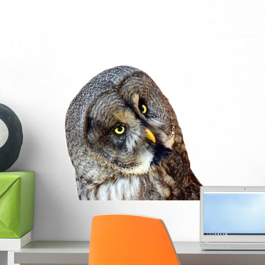 Great Owl Wall Decal