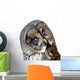 Great Owl Wall Decal
