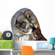 Great Owl Wall Decal