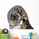 Great Owl Wall Decal