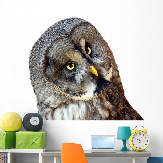 Great Owl Wall Decal