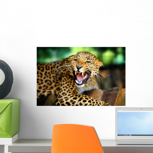 Leopard Portrait