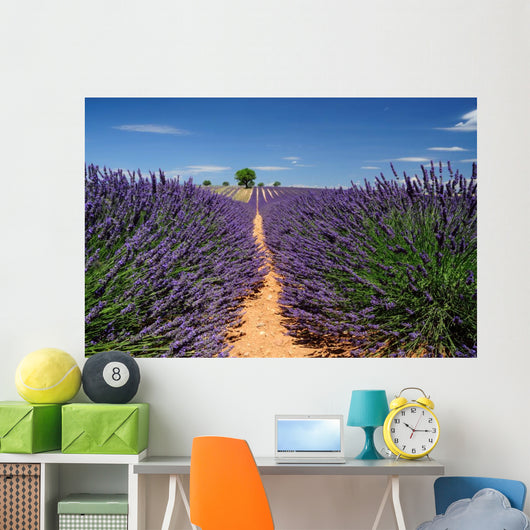 Lavender Field Plateau Valensole