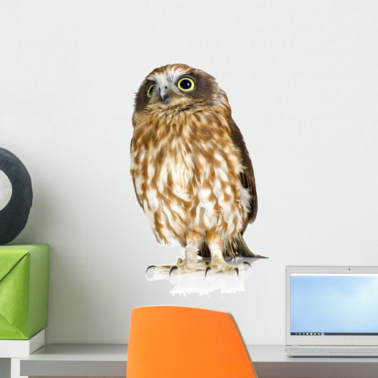 Posing New Zealand Owl Wall Decal