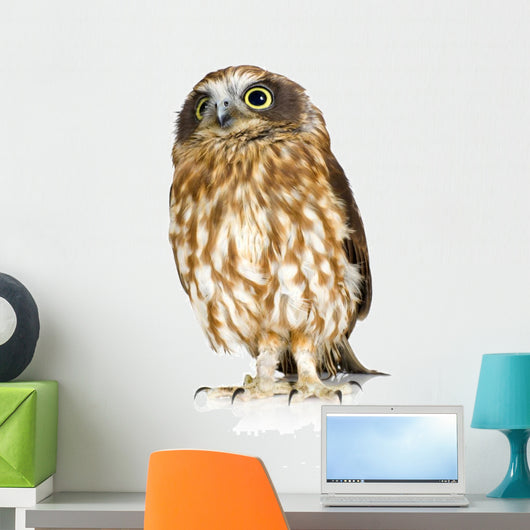 Posing New Zealand Owl Wall Decal