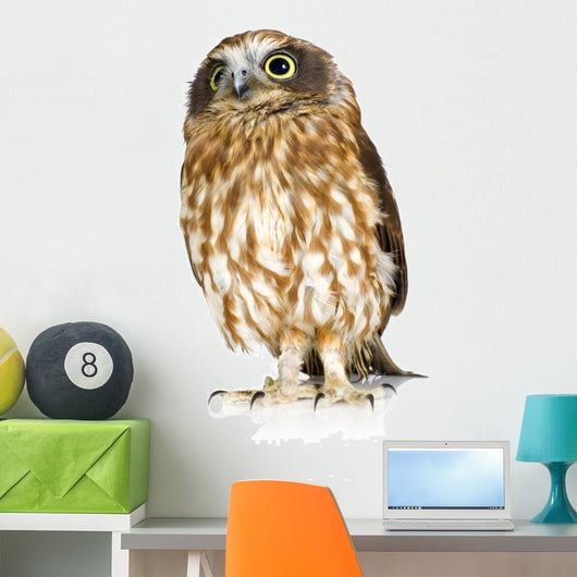 Posing New Zealand Owl Wall Decal