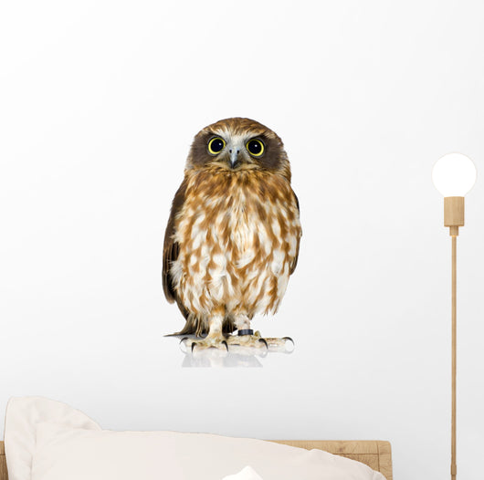 New Zealand Owl Wall Decal