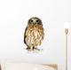 New Zealand Owl Wall Decal