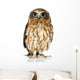 New Zealand owl Wall Decal