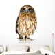 New Zealand owl Wall Decal