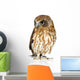 New Zealand Owl Turning Right Wall Decal