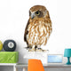 New Zealand Owl Turning Right Wall Decal