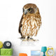 New Zealand Owl Turning Right Wall Decal