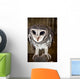 Greater Sooty Owl Endangered