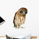 New Zealand Owl Wall Decal
