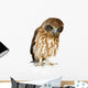 New Zealand Owl Wall Decal