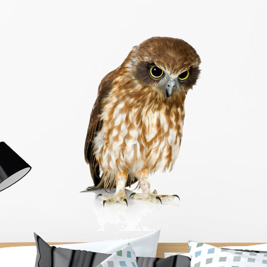New Zealand Owl Wall Decal