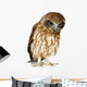 New Zealand Owl Wall Decal