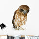 New Zealand Owl Wall Decal
