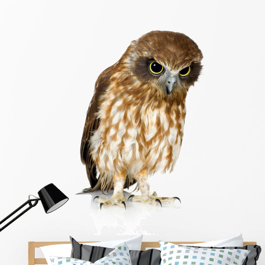 New Zealand Owl Wall Decal