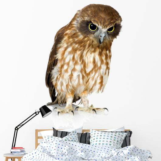 New Zealand Owl Wall Decal