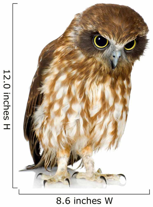 New Zealand Owl Wall Decal
