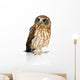 Wide-Eyed New Zealand Owl Wall Decal