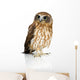 Wide-Eyed New Zealand Owl Wall Decal