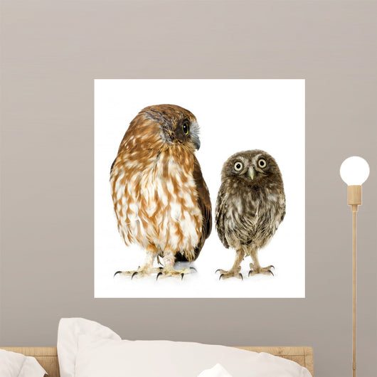 Female Owl and a Owlet Wall Decal