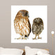 Female Owl and a Owlet Wall Decal