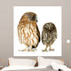 Female Owl and a Owlet Wall Decal