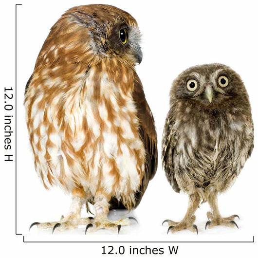 Female Owl and a Owlet Wall Decal
