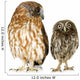 Female Owl and a Owlet Wall Decal
