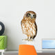 New Zealand Owl Wall Decal