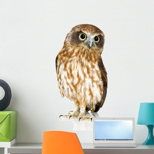 New Zealand Owl Wall Decal
