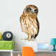 New Zealand Owl Wall Decal